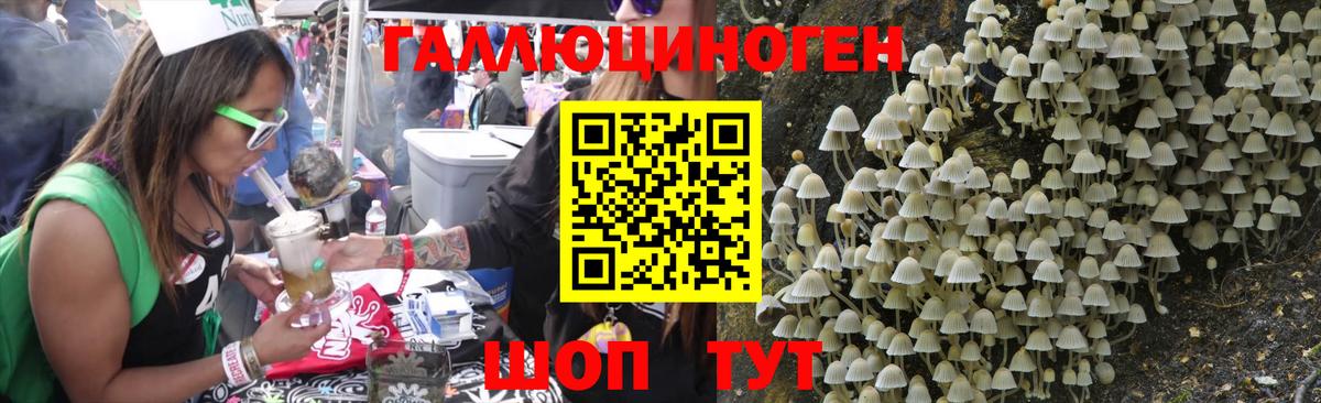Галлюциногенные грибы мухоморы  Псилоцибиновые грибы мицелий  наркошоп  Фролово  Вход с VPN 
